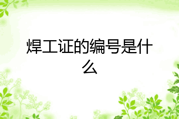 焊工证的编号是什么