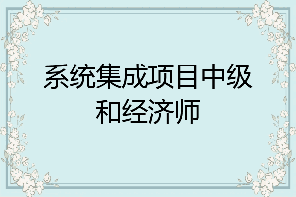 系统集成项目中级和经济师