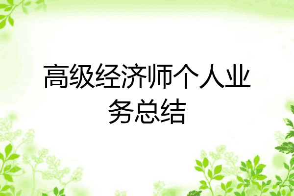 高级经济师个人业务总结