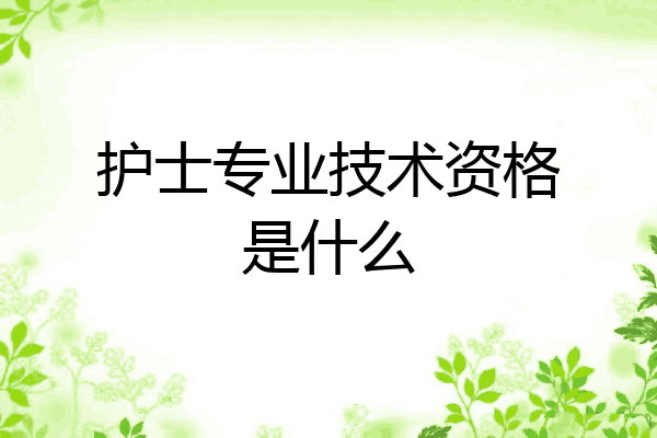 护士专业技术资格是什么