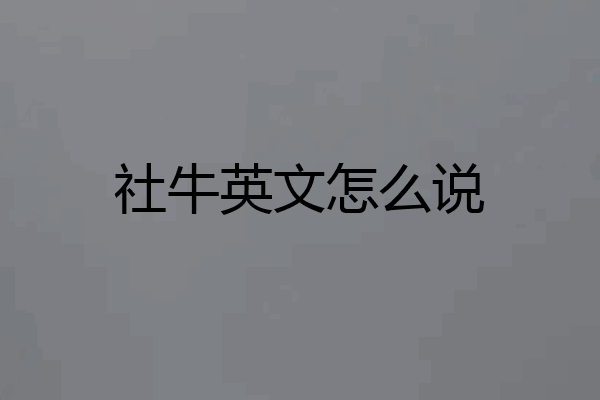 社牛英文怎么说