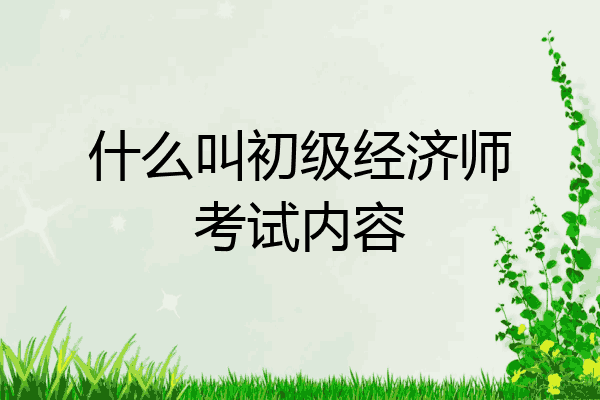 什么叫初级经济师考试内容