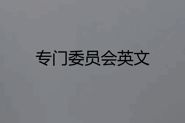 专门委员会英文