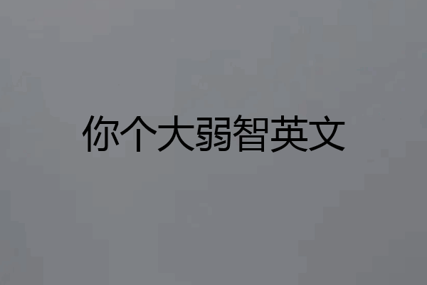 你个大弱智英文