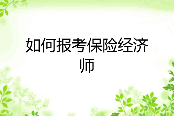 如何报考保险经济师