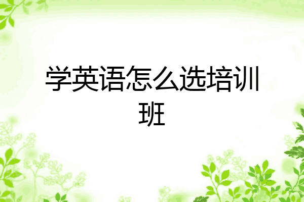 学英语怎么选培训班