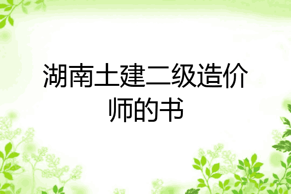 湖南土建二级造价师的书