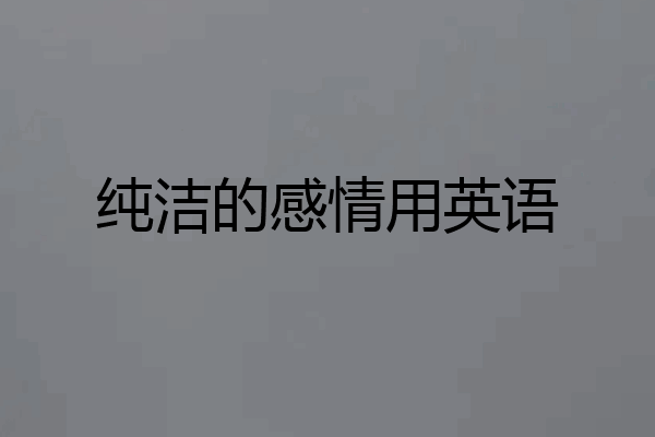 纯洁的感情用英语