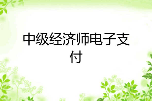 中级经济师电子支付