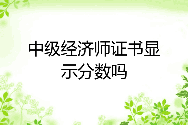 中级经济师证书显示分数吗