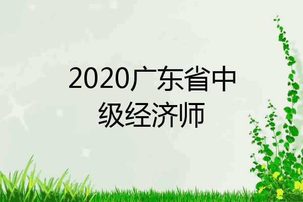 2020广东省中级经济师