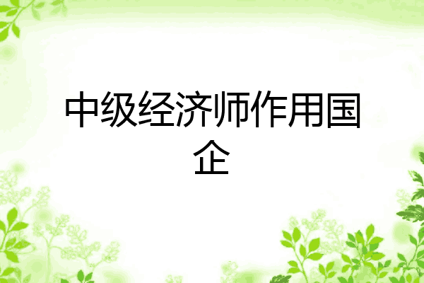 中级经济师作用国企