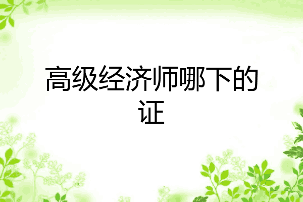 高级经济师哪下的证
