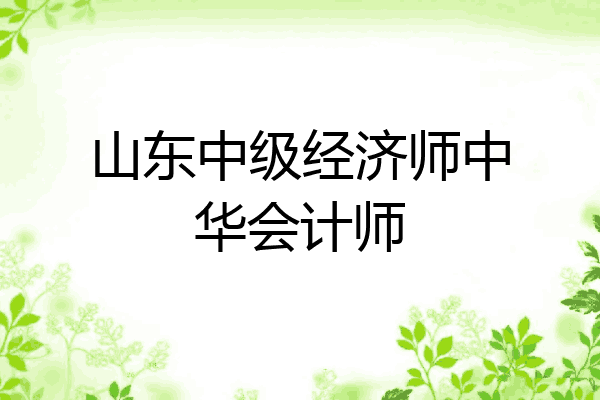 山东中级经济师中华会计师