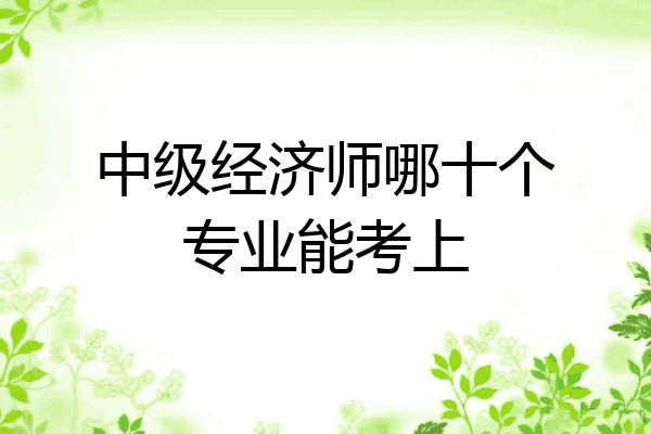中级经济师哪十个专业能考上
