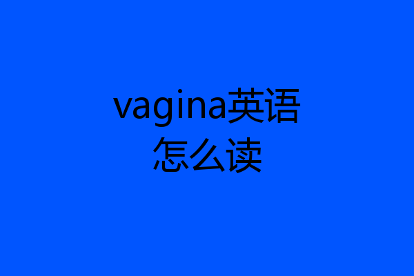 vagina英语怎么读