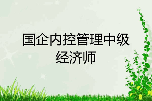 国企内控管理中级经济师