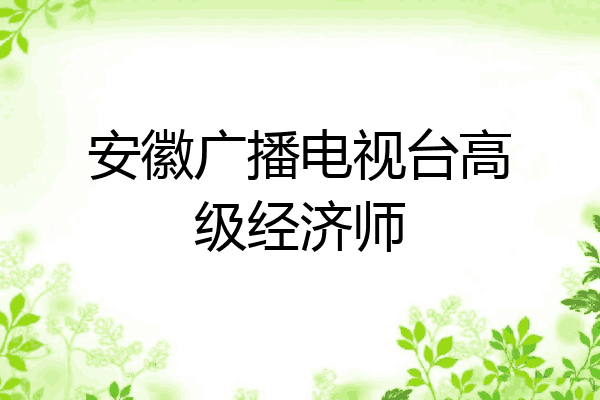 安徽广播电视台高级经济师