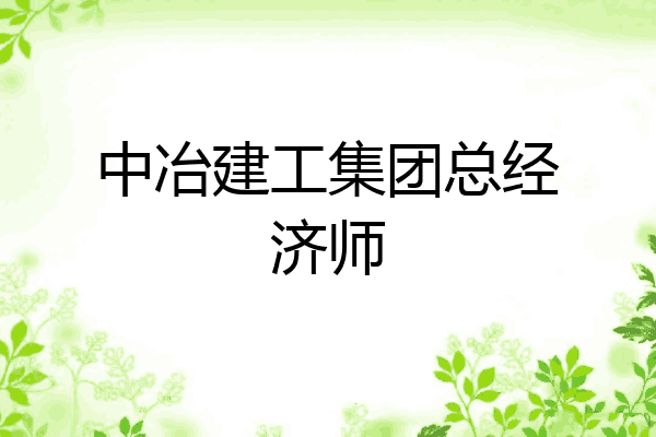 中冶建工集团总经济师