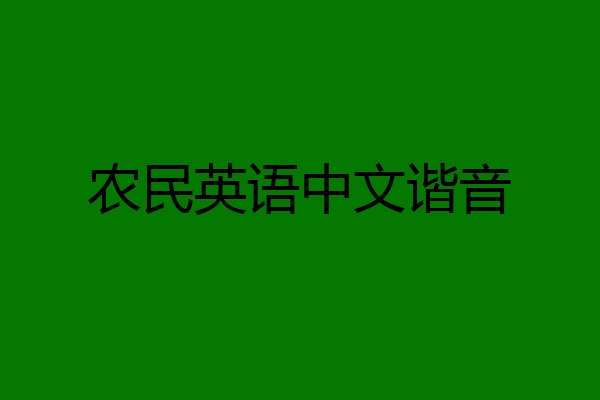 农民英语中文谐音