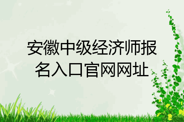 安徽中级经济师报名入口官网网址