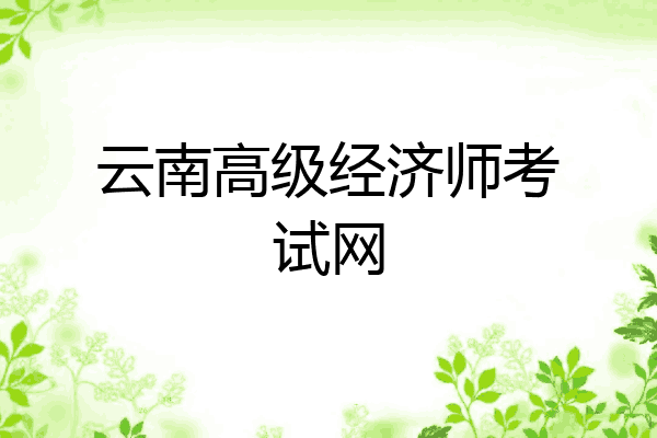 云南高级经济师考试网
