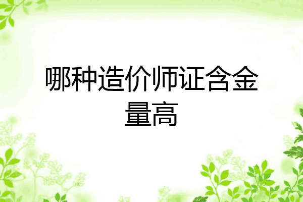 哪种造价师证含金量高