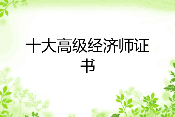 十大高级经济师证书