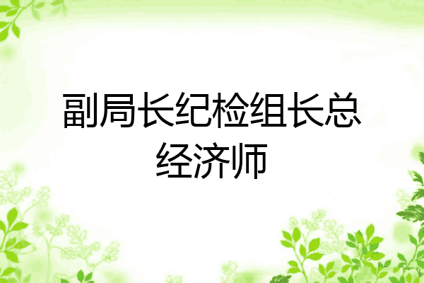 副局长纪检组长总经济师