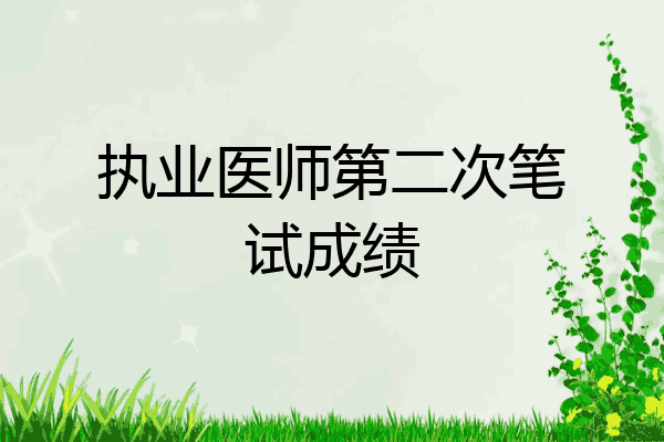 执业医师第二次笔试成绩