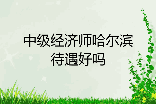 中级经济师哈尔滨待遇好吗