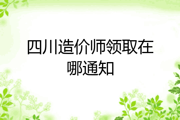 四川造价师领取在哪通知