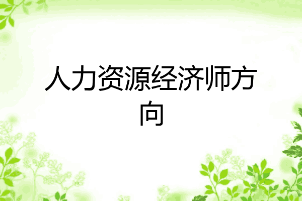 人力资源经济师方向
