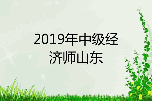 2019年中级经济师山东