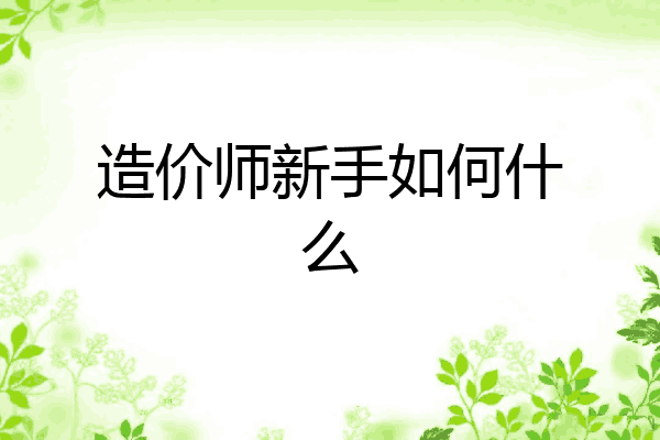 造价师新手如何什么