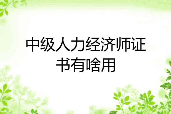 中级人力经济师证书有啥用