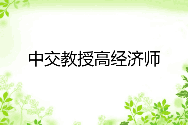 中交教授高经济师
