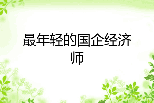 最年轻的国企经济师