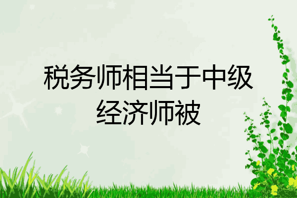 税务师相当于中级经济师被