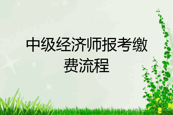 中级经济师报考缴费流程
