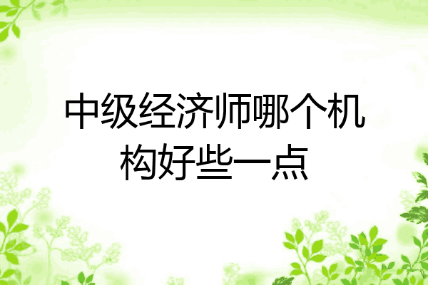 中级经济师哪个机构好些一点