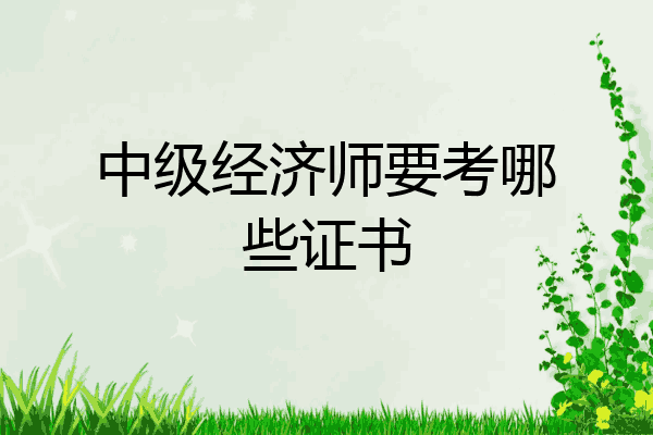 中级经济师要考哪些证书
