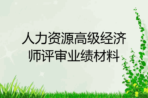 人力资源高级经济师评审业绩材料
