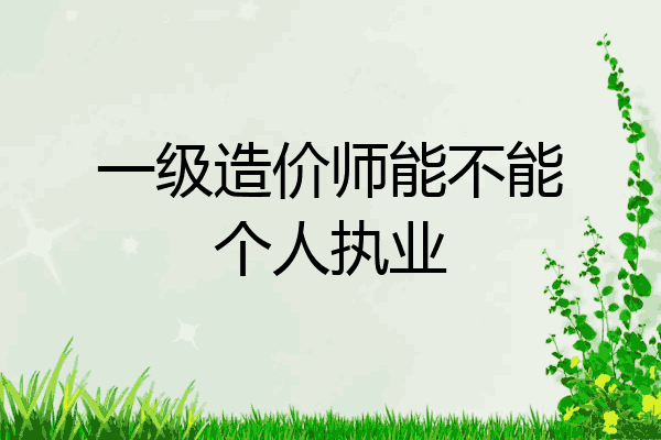 一级造价师能不能个人执业