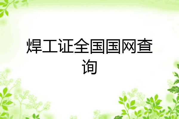 焊工证全国国网查询