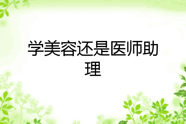学美容还是医师助理