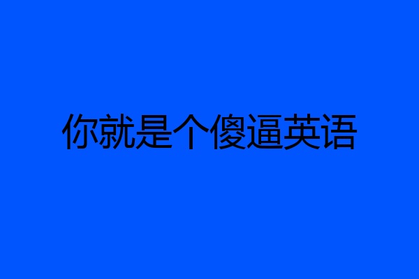 你就是个傻逼英语