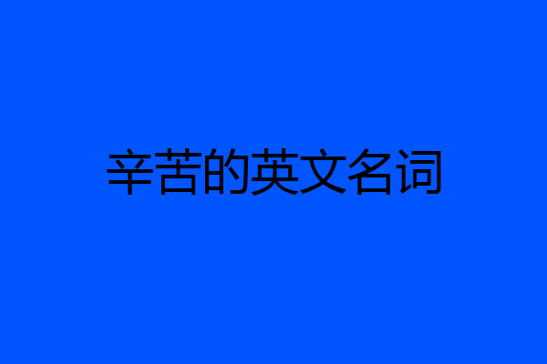 辛苦的英文名词