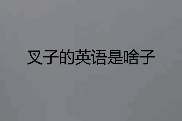 叉子的英语是啥子