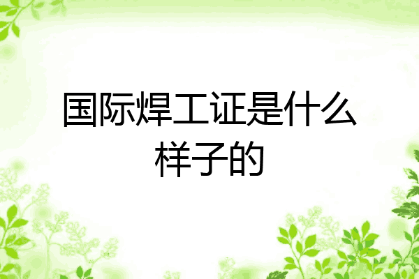 国际焊工证是什么样子的